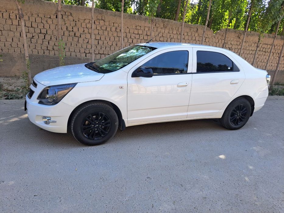 Cobalt midnight 2025 dexqondan