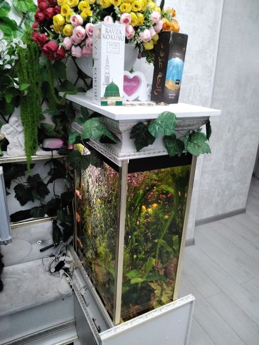 Аквариумные рыбки