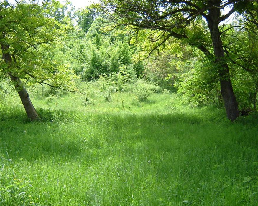 ПАРЦЕЛ 1540 кв.м. - УПИ за строителство близо до язовир