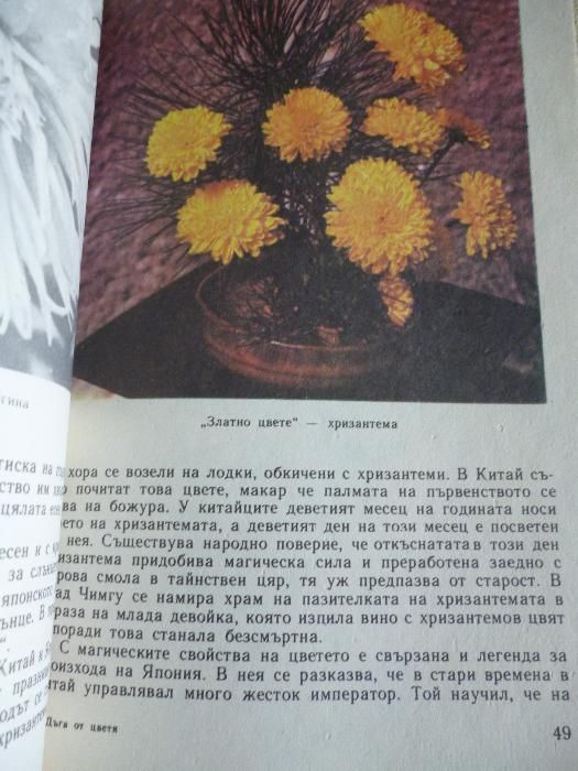 Дъга от цветя - Евгения Черней, Леонила Ширева