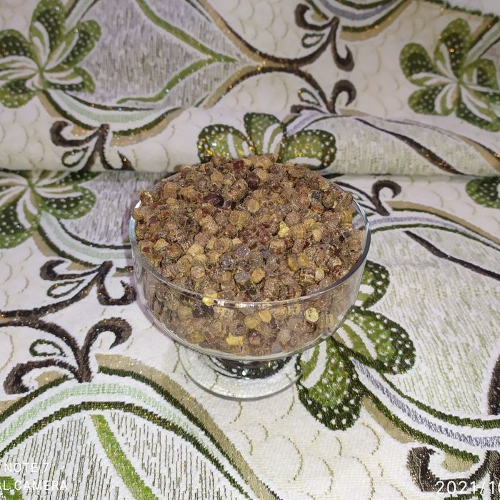 ПЕРГА свежая, хлебина пчелиная