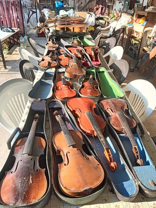 Viori și Violoncele ornamentale,