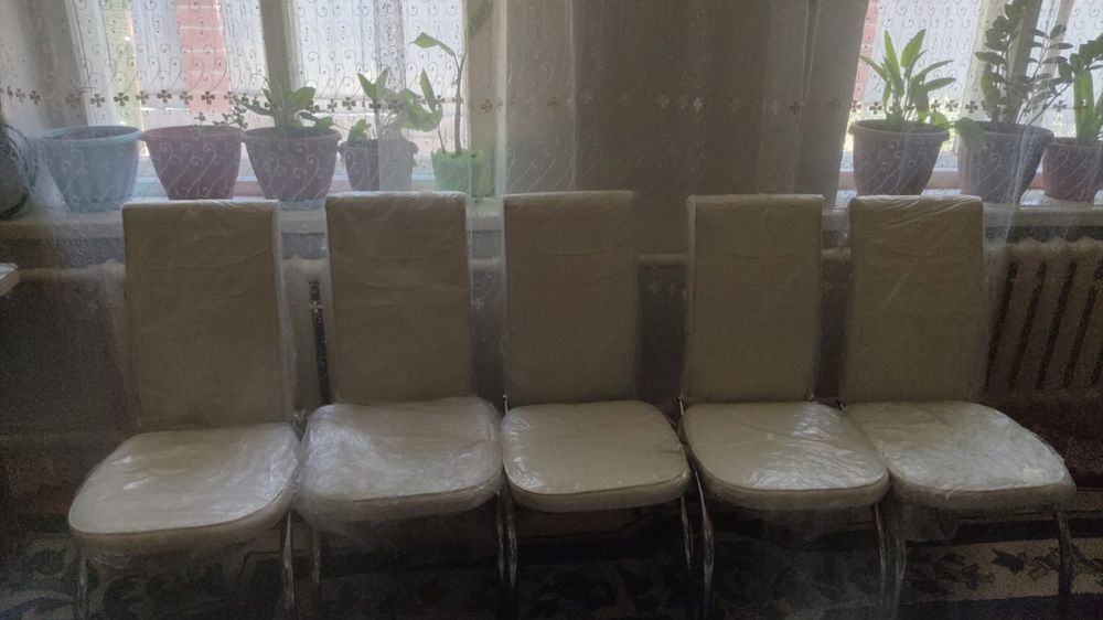 Продам стол и стулья