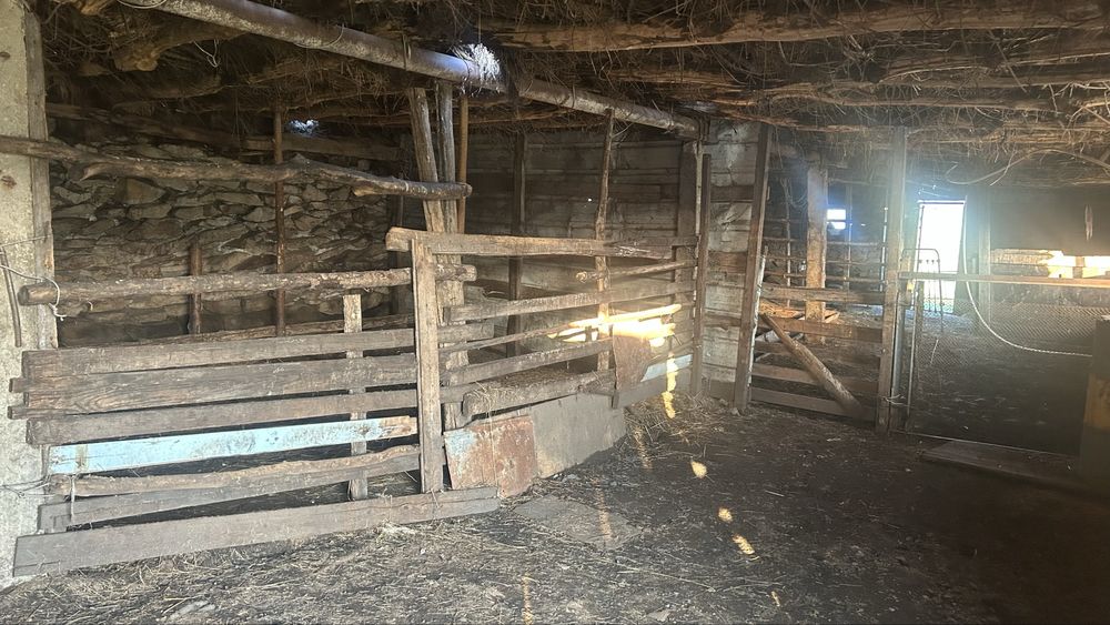 Продам крестьянское хозяйстсо