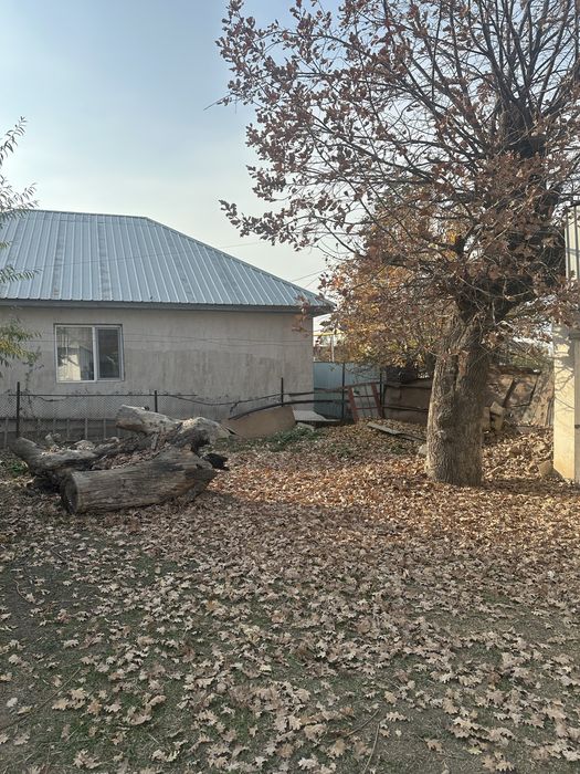 драва продам цена договорная