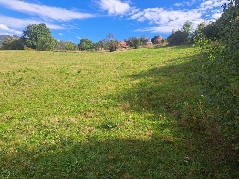 Vand teren la munte in Bulz