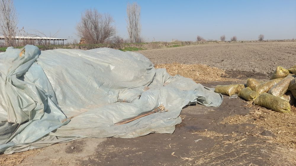 Silyos bor 750 so'm 50 tonacha