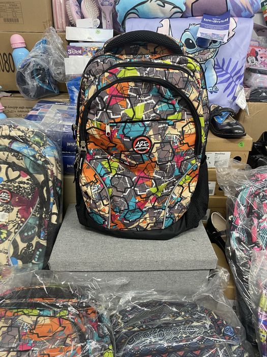 Ghiozdan ergonomic compartimentat