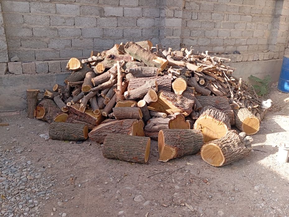 Tut utn sotiladi srochni