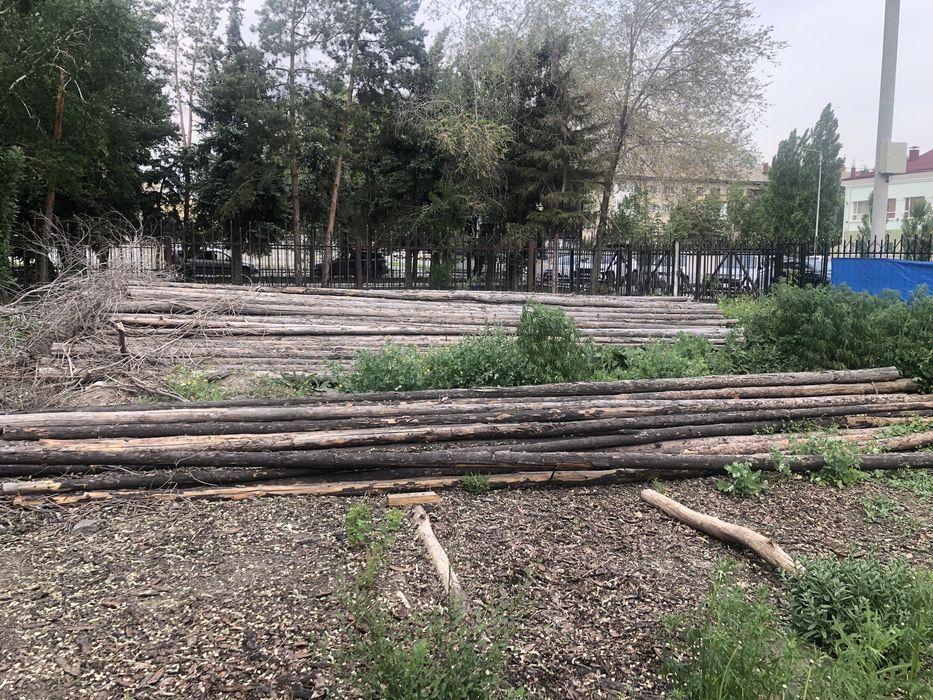 Стройлес  продам жерди ,8 метровые .Центр