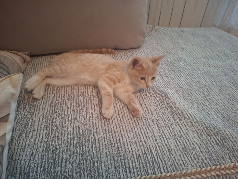 Мальчик. 5 месяцев