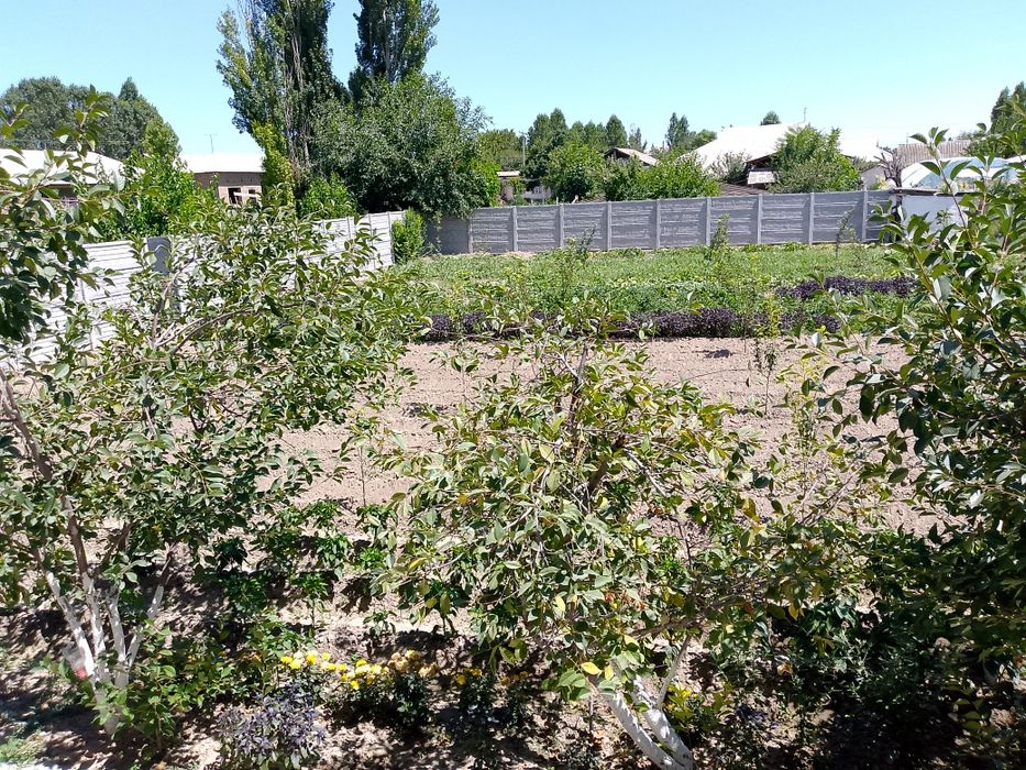 Yer uchastkasi bilan o'pshi 54000$ tezda sotilishi uchun beriladi