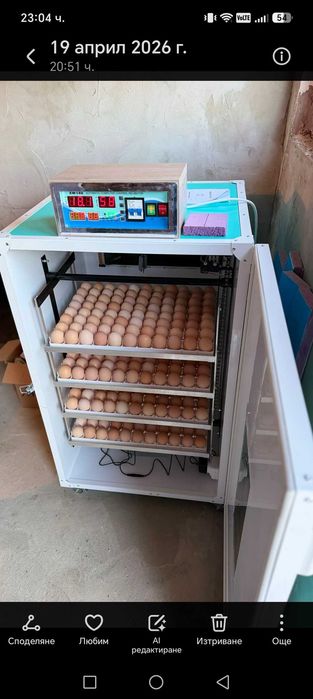 Инкобатур за 352 яйца