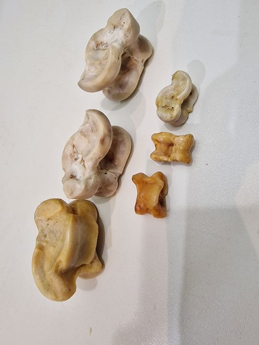 Асыки игровые национальные