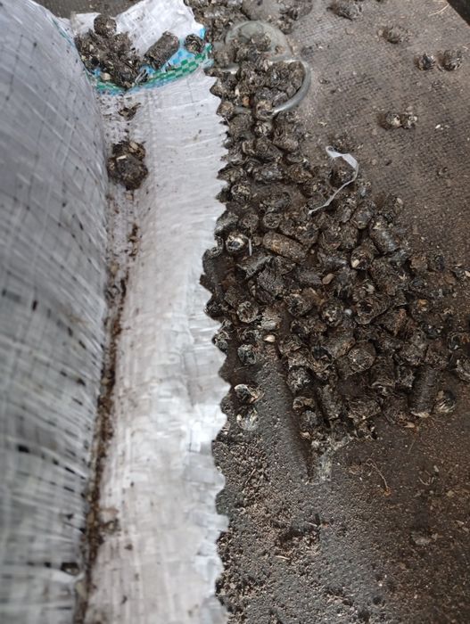 Peleti floarea soarelui 1 leu /kg