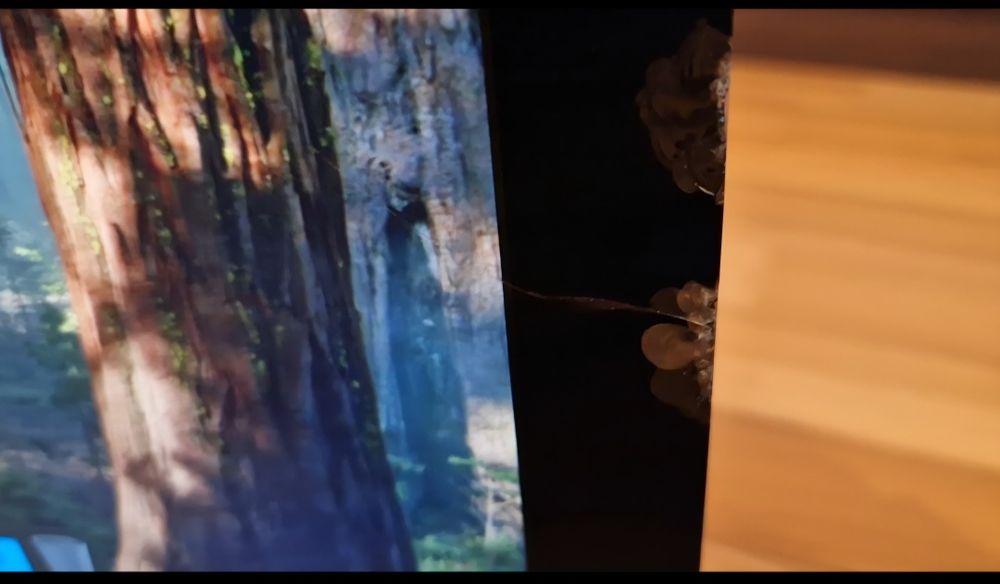 Apple iMac 2019 21,5" 4K с транспортна щета