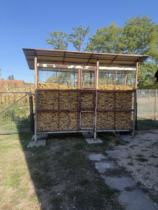 Vand coștei pentru porumb.