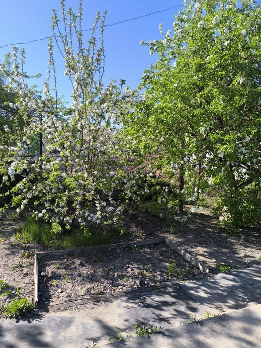 Продам дачный участок