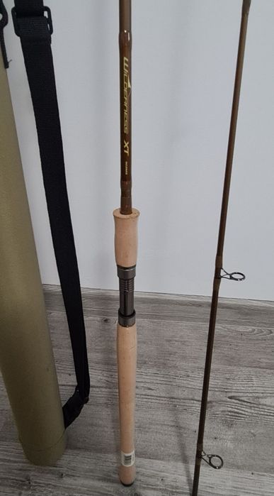 Lanseta spinning Daiwa Wilderness 2.75 10-40gr