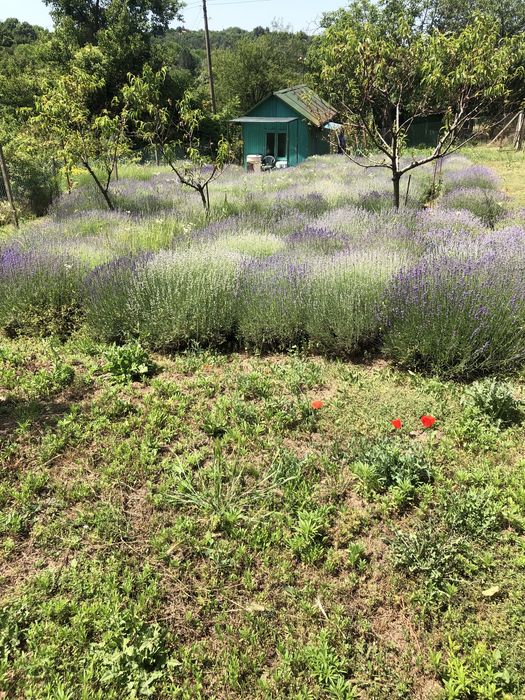 Продава се Къща в с. Пиргово, Област Русе - 20 кв.м за 192 €/кв.м - Снимка #4