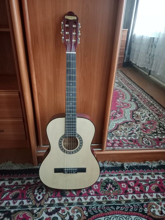 Продам гитару каустическая