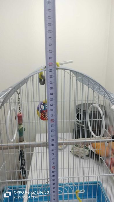 Vand colivie papagal