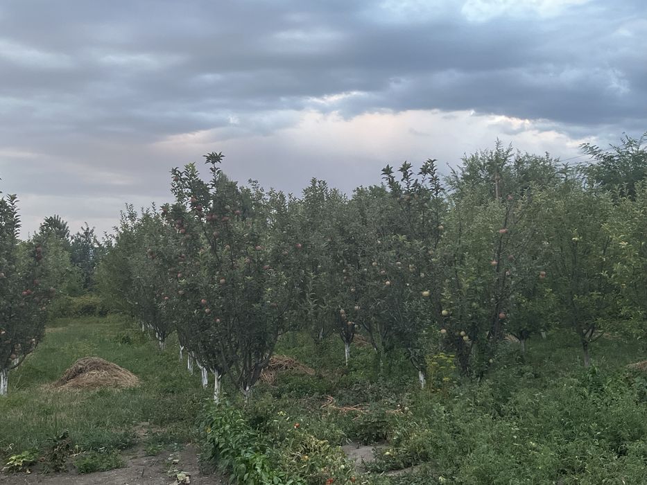 Продам участок в селе Тургень.