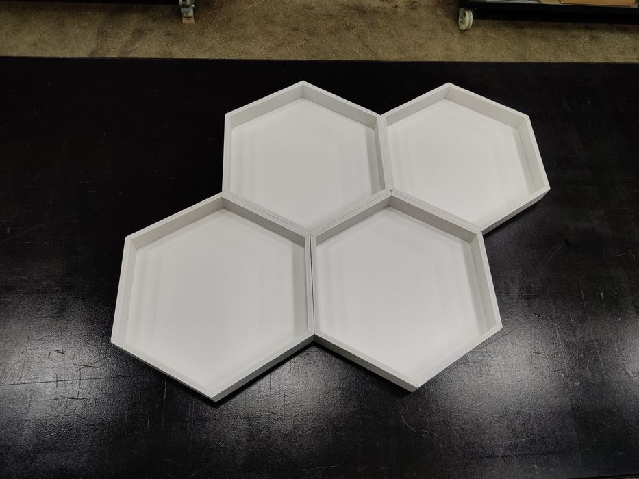 Rame hexagonale pentru tablou licheni