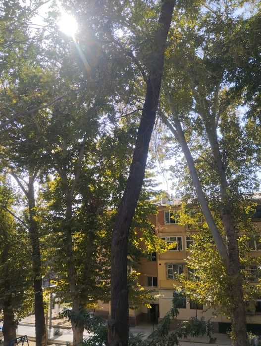 Продается квартира с возможность сделать ремонт под себя