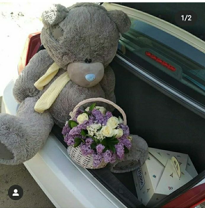 Teddy Teddi Yangi yilga ajoyib orginal sovg'alar