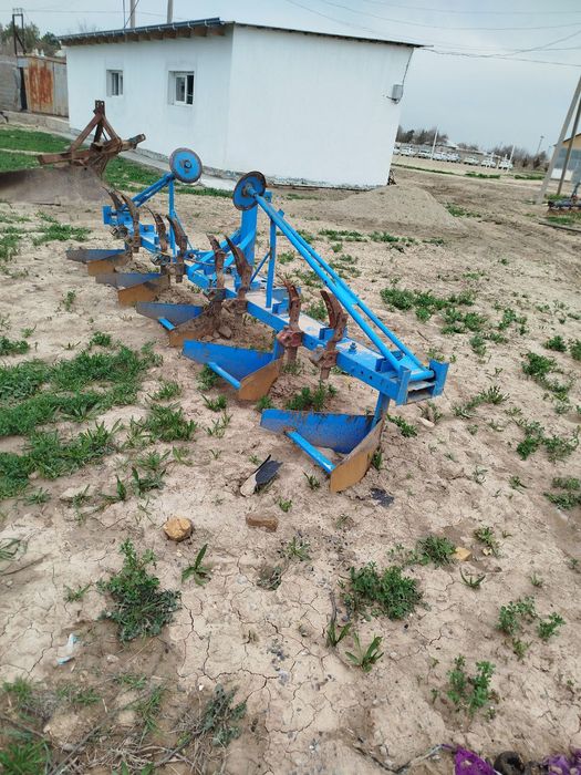 Нариска рехритир Гала нариска 3 хил