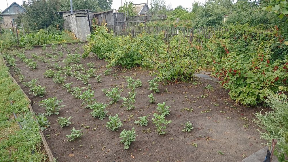 Дача СО Автомобилист