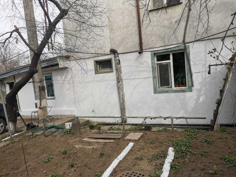 Apartament 3 camere