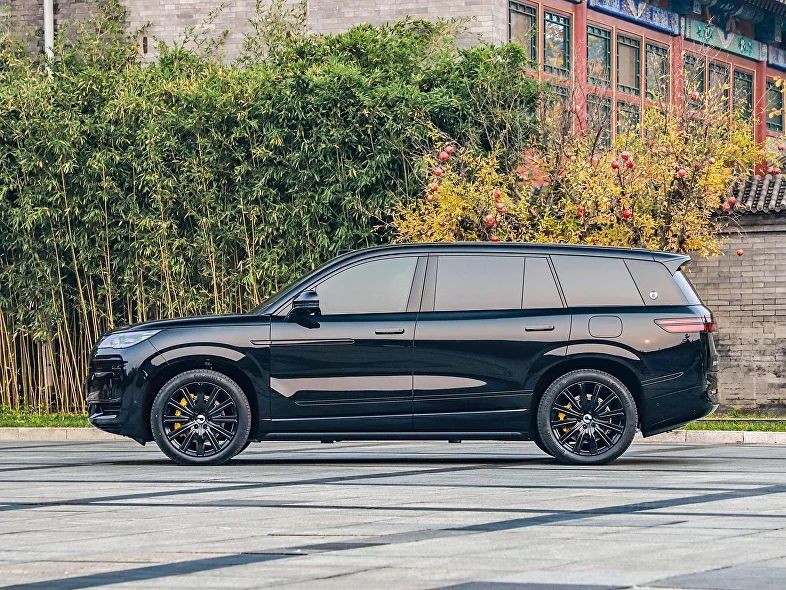Denza N9 под заказ от Terra Auto