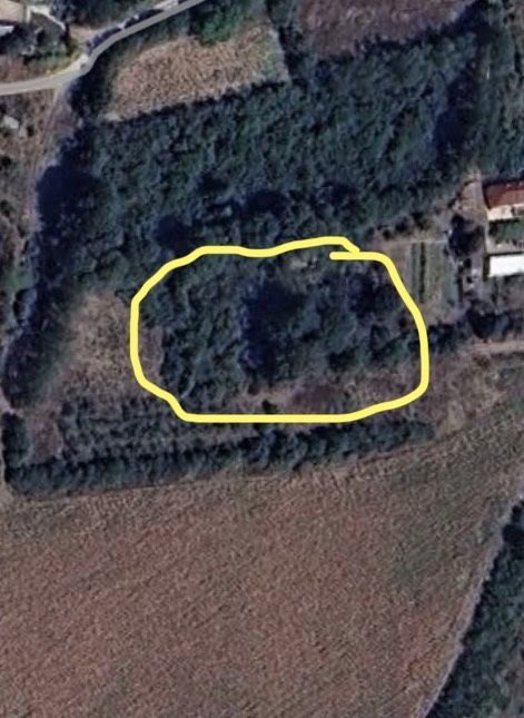 Vând teren intravilan în Săpata de Jos județul Argeș,