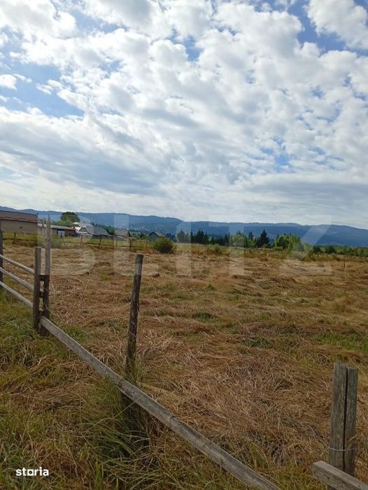 Vanzare teren intravilan, 3850 mp, Panaci
