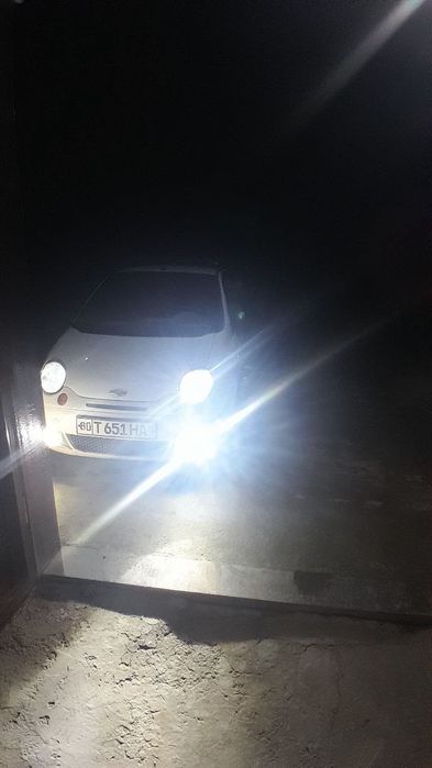 Matiz poluks rangi oq