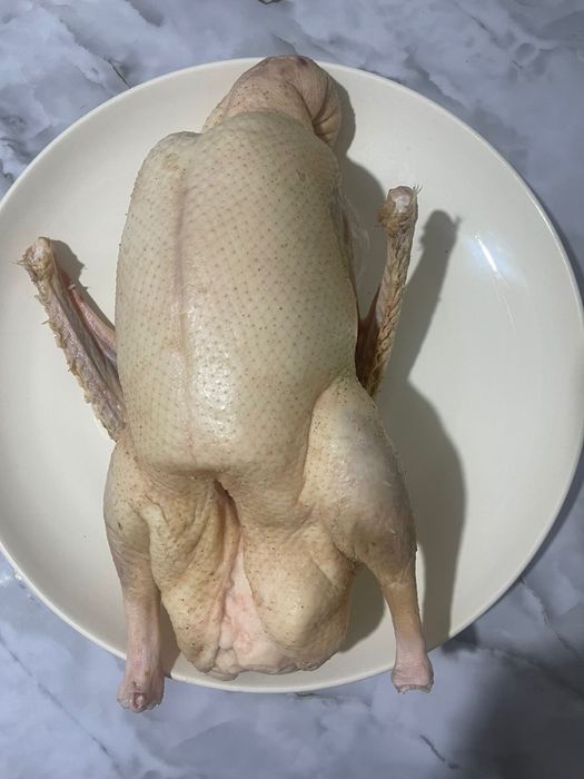 Гуси оптом домашние