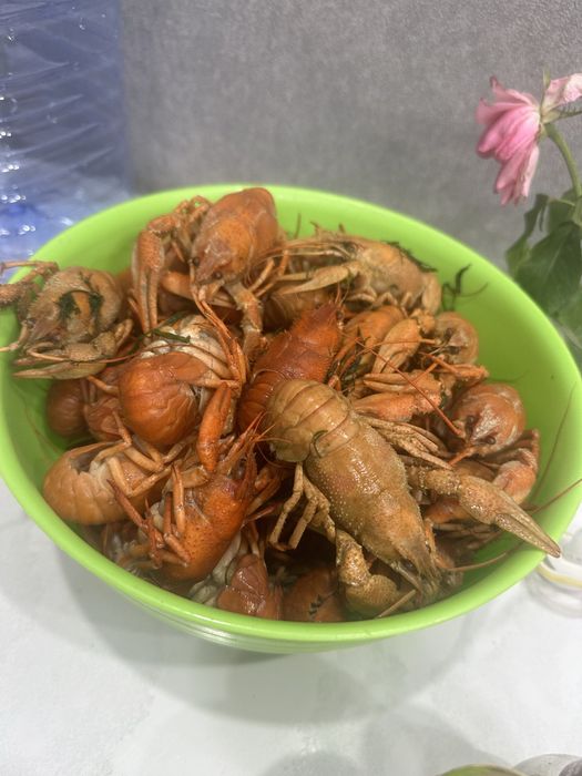 Раки балхашские крупные