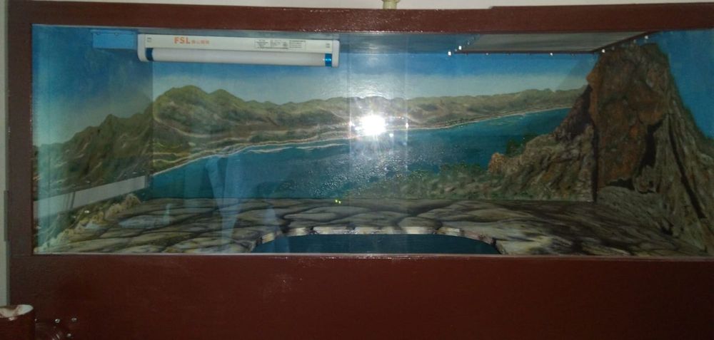 Террариум с пейзажем