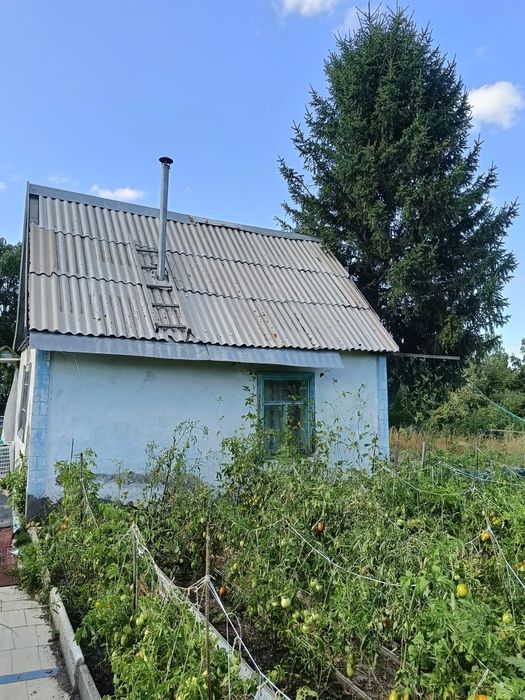 Продаю дачу Строитель 1