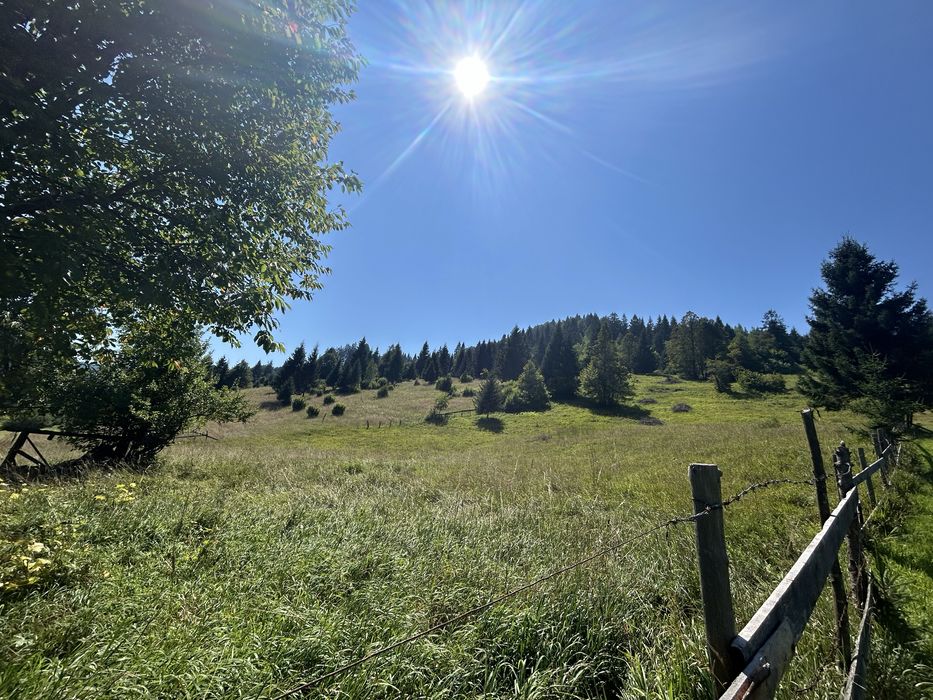 Teren extravilan Valea Caselor