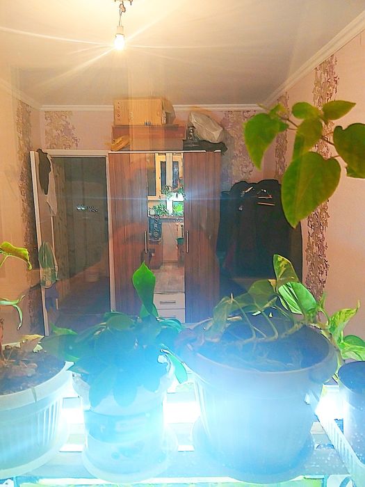 Продам срочно квартиру в Жилгородке
