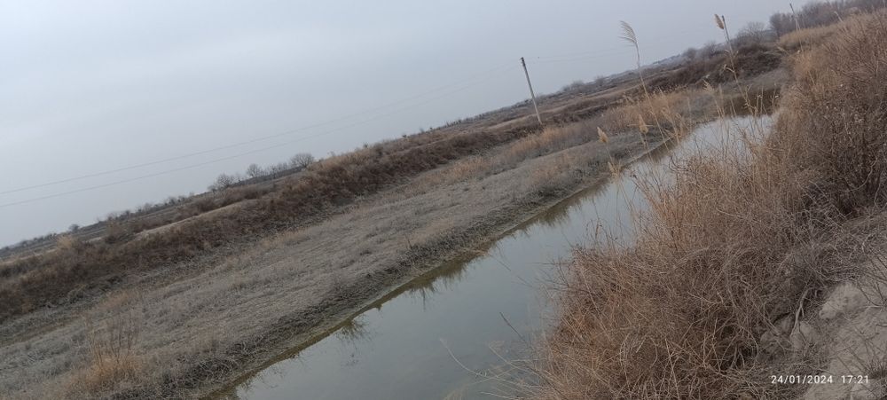 Baliqxona sotiladi dakumentilalni