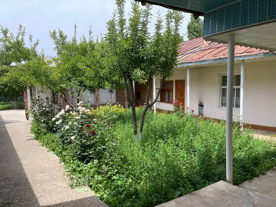 Дом в горах с участком - свежий воздух, Богистон