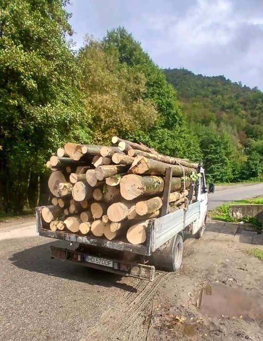 Aducem pe comanda Lemn Foc Fag Stejar! Tot județul!