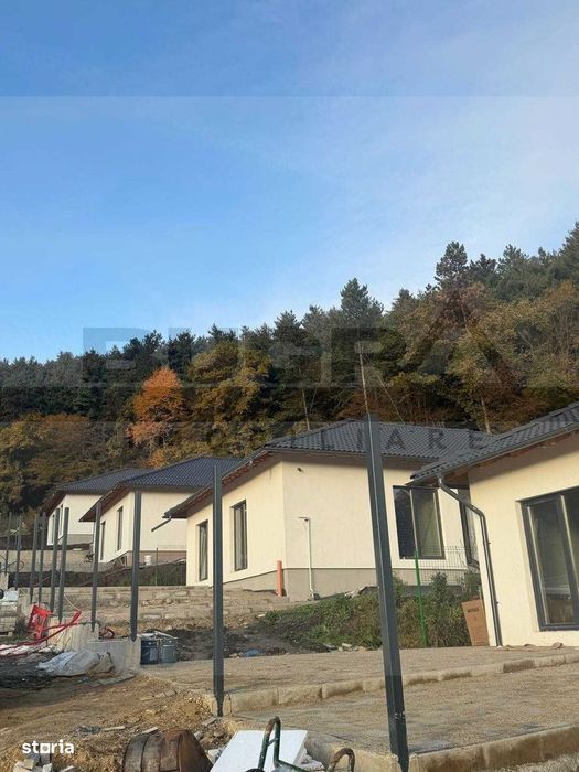 Casa individuala pe un singur nivel, Popesti