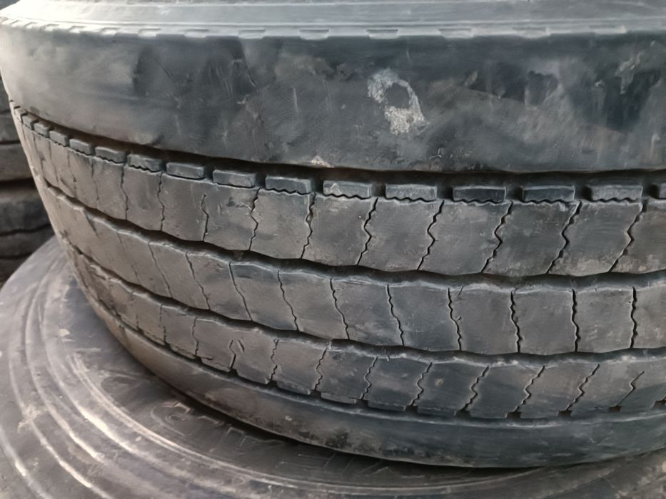 Прецепный болоны