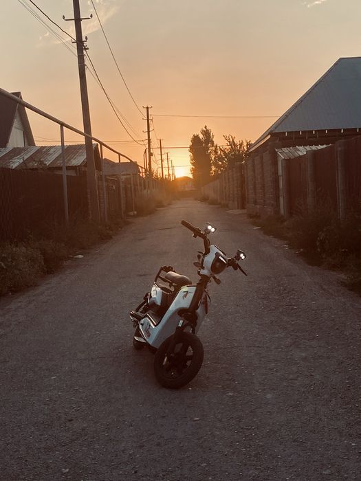 Скутер с дакументом