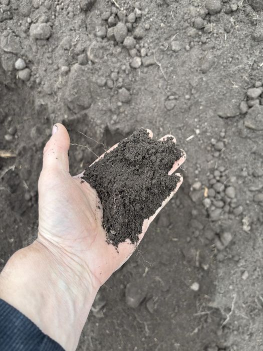 Перегной Чернозём Отличного качество